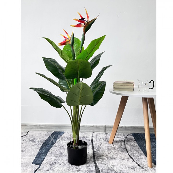 Cây Thiên Điểu Giả 100cm 2 hoa